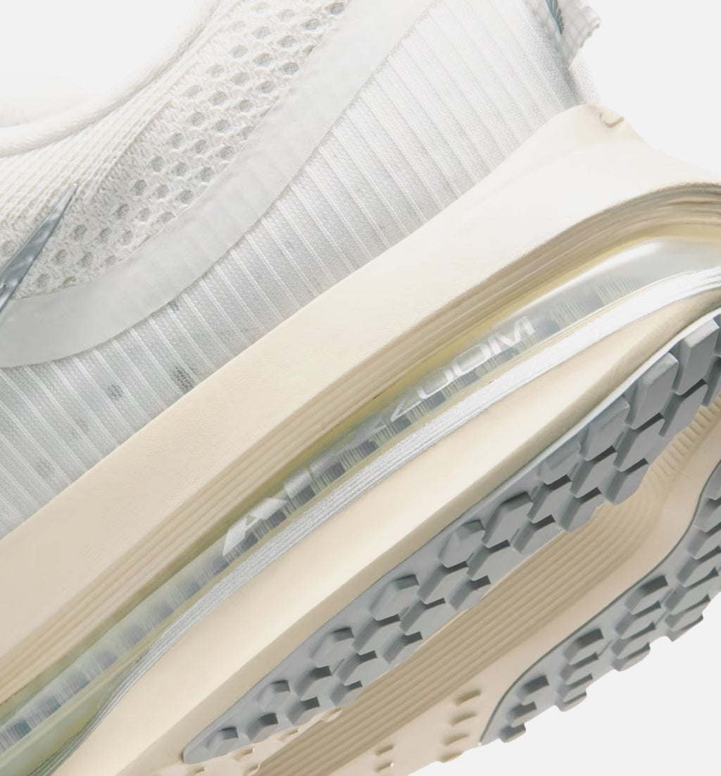 Nike Pegasus Premium Men's Shoe – Platinum Tint/Grey Fog/Iron Grey/Reflect Silver
